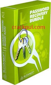 Password Recovery Bundle 8.2.0.4 Crack With Serial Key 2022