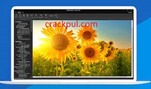 File Viewer Plus 4.2.1.50  Crack + Activation Key Free Download