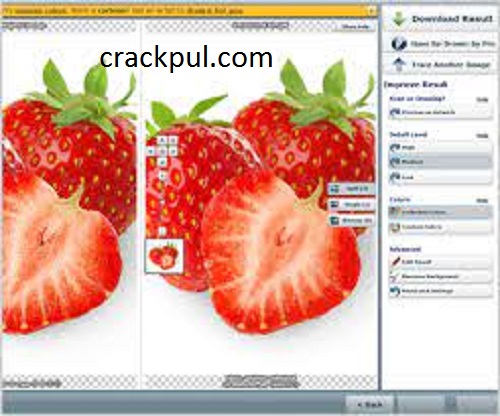 Vector Magic 1.25 Crack With Product Key 2023 Free Download