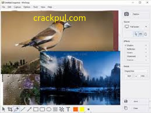WinSnap 5.2.9 Crack With Activation Key 2022 Free Download
