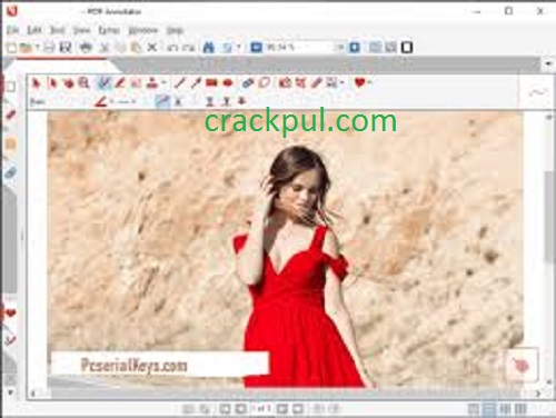 PDF Annotator 8.0.0.836 Crack With License Key Free Download