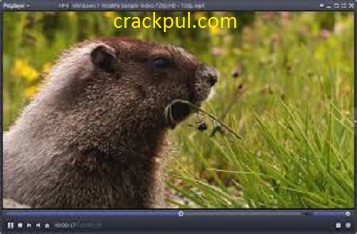 Daum PotPlayer 1.7.21612 Crack With Serial Key Free Download